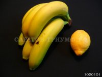 Овощи и фрукты 1