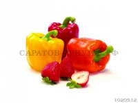 Овощи и фрукты 3